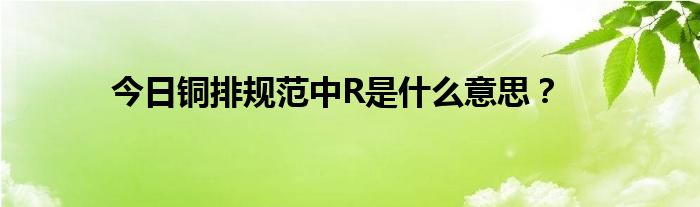 今日铜排规范中R是什么意思？