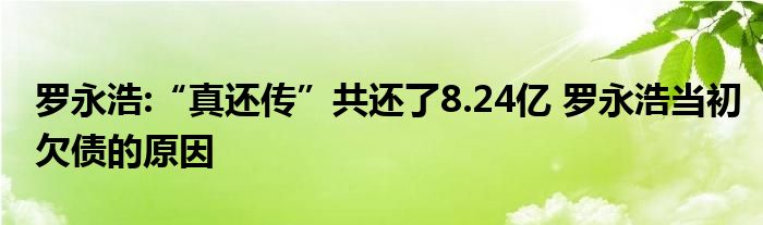 罗永浩:“真还传”共还了8.24亿 罗永浩当初欠债的原因