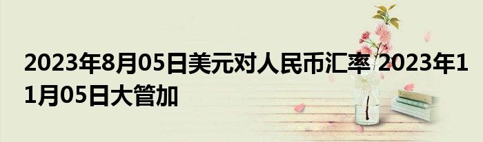 2023年8月05日美元对人民币汇率 2023年11月05日大管加