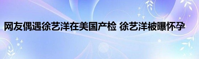 网友偶遇徐艺洋在美国产检 徐艺洋被曝怀孕