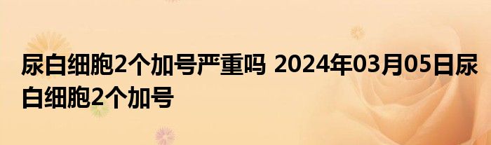 尿白细胞2个加号严重吗 2024年03月05日尿白细胞2个加号