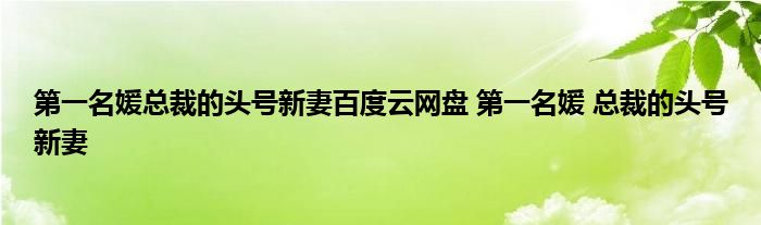 第一名媛总裁的头号新妻百度云网盘 第一名媛 总裁的头号新妻