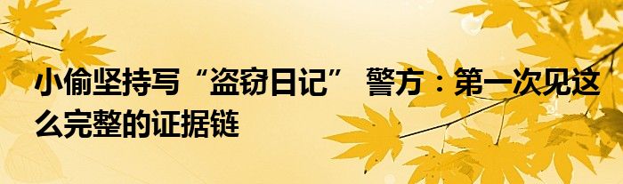 小偷坚持写“盗窃日记” 警方：第一次见这么完整的证据链