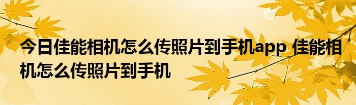 今日佳能相机怎么传照片到手机app 佳能相机怎么传照片到手机