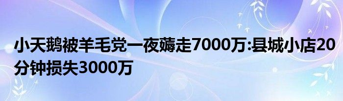 小天鹅被羊毛党一夜薅走7000万:县城小店20分钟损失3000万