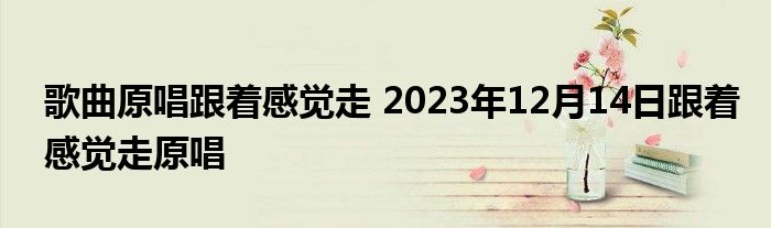 歌曲原唱跟着感觉走 2023年12月14日跟着感觉走原唱