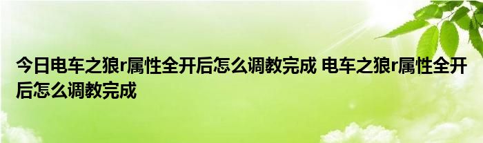 今日电车之狼r属性全开后怎么调教完成 电车之狼r属性全开后怎么调教完成