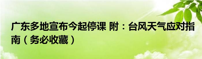 广东多地宣布今起停课 附：台风天气应对指南（务必收藏）