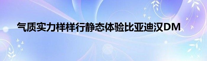 气质实力样样行静态体验比亚迪汉DM