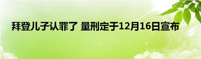 拜登儿子认罪了 量刑定于12月16日宣布