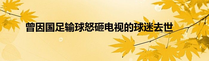 曾因国足输球怒砸电视的球迷去世