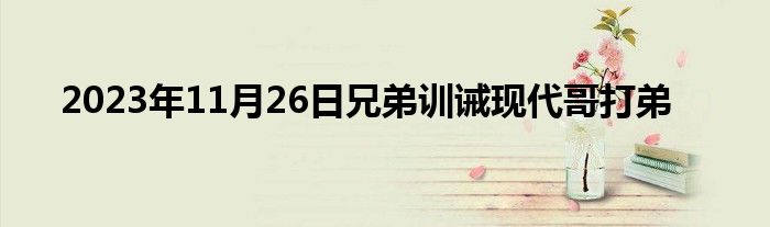 2023年11月26日兄弟训诫现代哥打弟