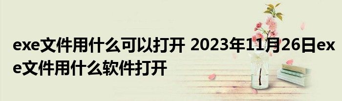 exe文件用什么可以打开 2023年11月26日exe文件用什么软件打开