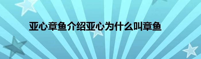 亚心章鱼介绍亚心为什么叫章鱼