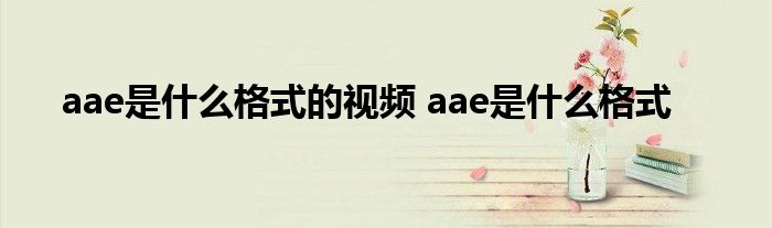 aae是什么格式的视频 aae是什么格式