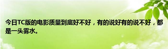 今日TC版的电影质量到底好不好，有的说好有的说不好，都是一头雾水。