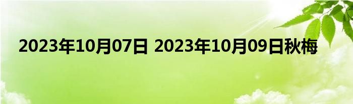 2023年10月07日 2023年10月09日秋梅