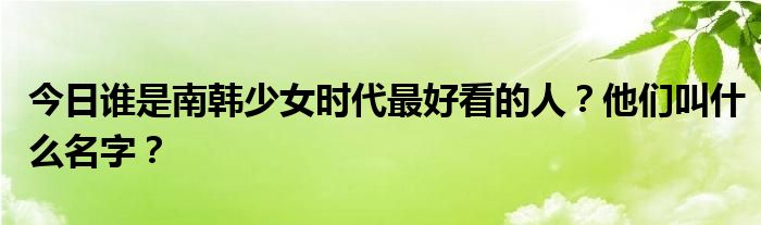 今日谁是南韩少女时代最好看的人？他们叫什么名字？