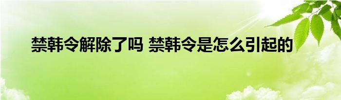 禁韩令解除了吗 禁韩令是怎么引起的