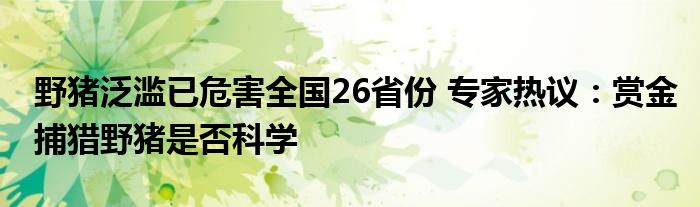 野猪泛滥已危害全国26省份 专家热议：赏金捕猎野猪是否科学