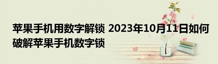 苹果手机用数字解锁 2023年10月11日如何破解苹果手机数字锁