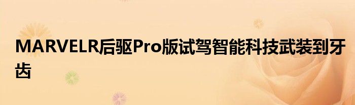 MARVELR后驱Pro版试驾智能科技武装到牙齿