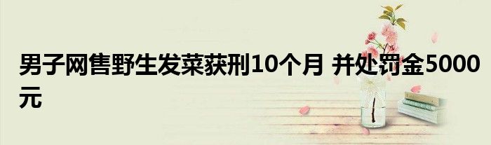 男子网售野生发菜获刑10个月 并处罚金5000元