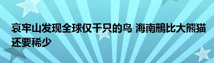 哀牢山发现全球仅千只的鸟 海南鳽比大熊猫还要稀少