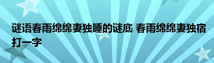 谜语春雨绵绵妻独睡的谜底 春雨绵绵妻独宿打一字