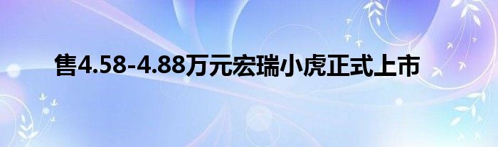 售4.58-4.88万元宏瑞小虎正式上市