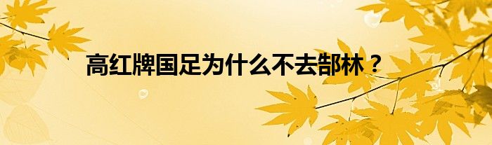 高红牌国足为什么不去郜林？