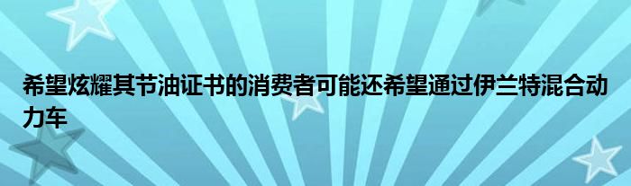 希望炫耀其节油证书的消费者可能还希望通过伊兰特混合动力车