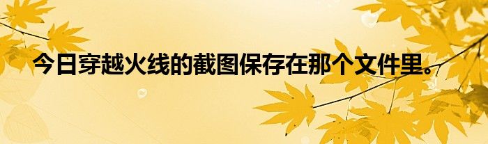 今日穿越火线的截图保存在那个文件里。