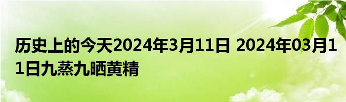 历史上的今天2024年3月11日 2024年03月11日九蒸九晒黄精