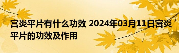 宫炎平片有什么功效 2024年03月11日宫炎平片的功效及作用